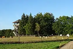 Dylewo Hills Landscape Park