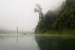 Kayaking on Cheow Lan Lake