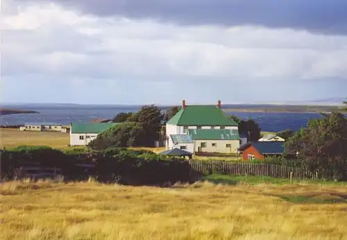Tussock-bunch grasslands, dormant season, in the Falkland Islands in the south Atlantic
