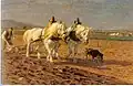 Zwei pflügende Schimmel (Two Greys Ploughing), 1899/1900