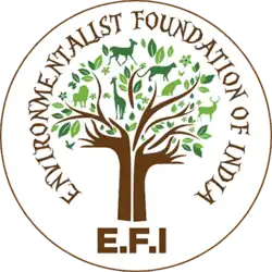 E.F.I Logo