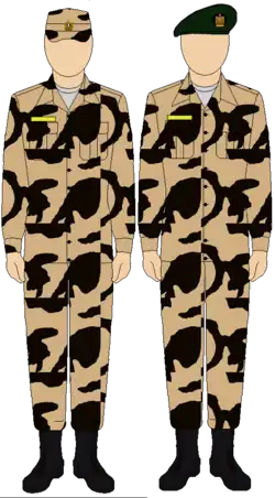 Egyptian Army Thunderbolt camouflage uniform