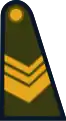Cabo primero (Argentine Army)[8]