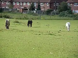 King John's Walk (Green Chain Walk)