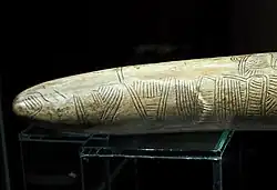 Image 39Possibly the oldest surviving map has been engraved on this mammoth tusk, dated to 25,000 BC, found from Pavlov in the Czech Republic. (from History of cartography)