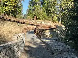 Part of the raised boardwalk