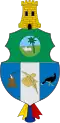 Official seal of San Vicente del Caguán