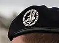 Beret badge.