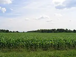 Farmland in Lysander