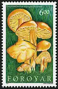 FR 304: Gulur vakshattur (Hygrocybe chlorophana)