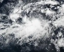 A photograph of a tropical storm over the Eastern Pacific Ocean
