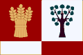 Flag of Bařice-Velké Těšany