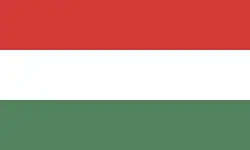 Flag of Ciudad Darío