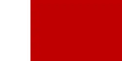 Flag of Dubai