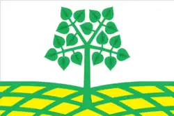 Flag of Lesnoy Gorodok