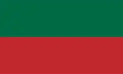 Flag used during the Vilnius Conference and a proposal for the flag of Lithuania (1917)