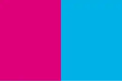 Flag of Mashivka Raion