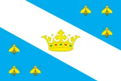 Flag of Medynsky District