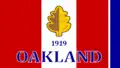 Flag of Oakland, Tennessee