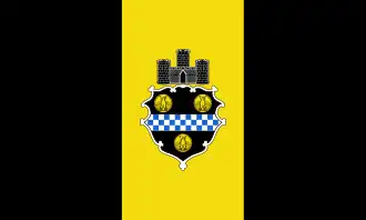 Flag of Pittsburgh