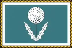 Flag of Seryshevsky District