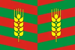 Flag of Tselinny District