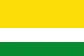 Flag of Valle de San Juan
