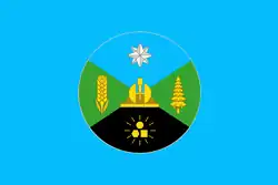 Flag of Zmeinogorsky District