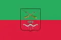 Flag of Russian-occupied Zaporizhzhia Oblast