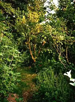 Image 45Robert Hart's forest garden in Shropshire (from Agroforestry)