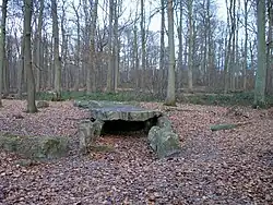 The Pierre Turquaise megalithic grave, France