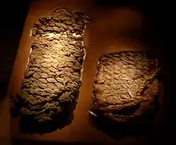 The Fort Rock sagebrush sandals from the United States (c. 7300 BC)