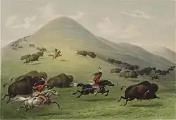 Native Americans learned to use horses, dramatically expanding their hunting range.[34] George Catlin, 1844