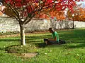 Student studying on Copley Lawn