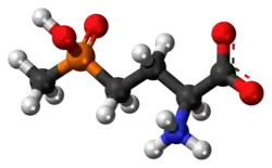 Ball-and-stick model of the glufosinate zwitterion