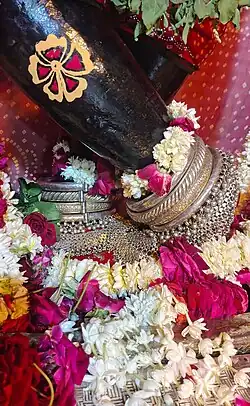 Feet of Gopinath Ji