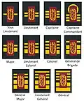 Doctor Ranks of the medical component.