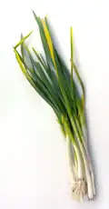 Green garlic, which releases alliin upon cutting