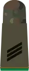 Hauptgefreier FA (Army lance corporal/Private first class sergeant aspirant, field uniform mounting strap)