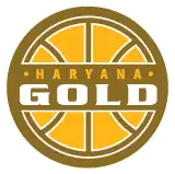 Haryana Gold logo