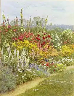 A Herbaceous Border