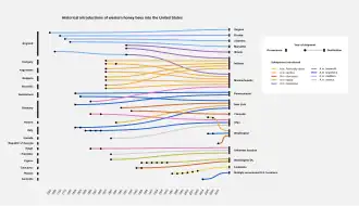 The visualization shows the historical introductions of western honey bees, Apis mellifera, into the United States. In particular, the visualization takes into account four categories of data. The first is the country from which the bees were exported (on the left side of the diagram), then the state into which the bees were imported (on the right side of the diagram), the year in which the shipment took place (represented with a black dot aligned to the relative year on the bottom), and the subspecies of Apis mellifera shipped (represented with the respective color in the legend). A legend included in the visualization helps understand the meaning of the graphic elements.