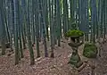 Stone lantern in the bamboo forest