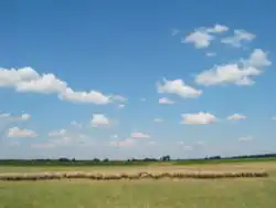 Steppe in Hungary