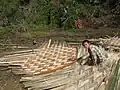 Construction of bamboo wall in Northeast India.