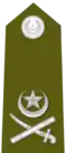 IGP Rank Badge