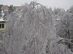 Aftermath of freezing rain in Moscow Oblast, Russia, December 2010