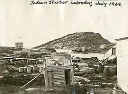 Indian Harbor, July 1924