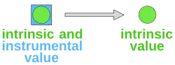 Diagram with a circle inside a box labelled "intrinsic and instrumental value", an arrow, and another circle labelled "intrinsic value"