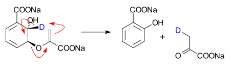Isochorismate pyruvate lyase converts isochorismate into salicylate and pyruvate